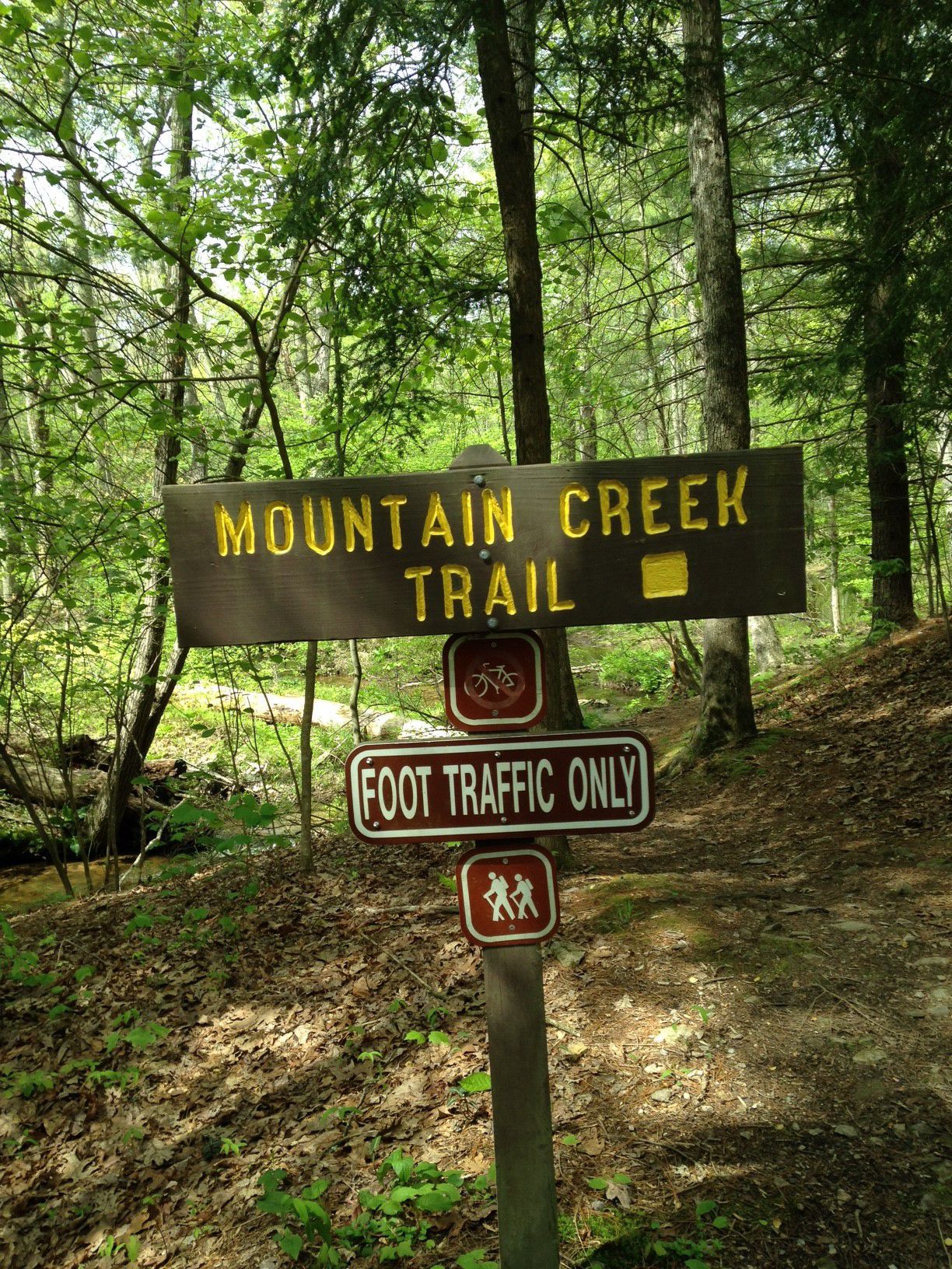 Pine Grove trail